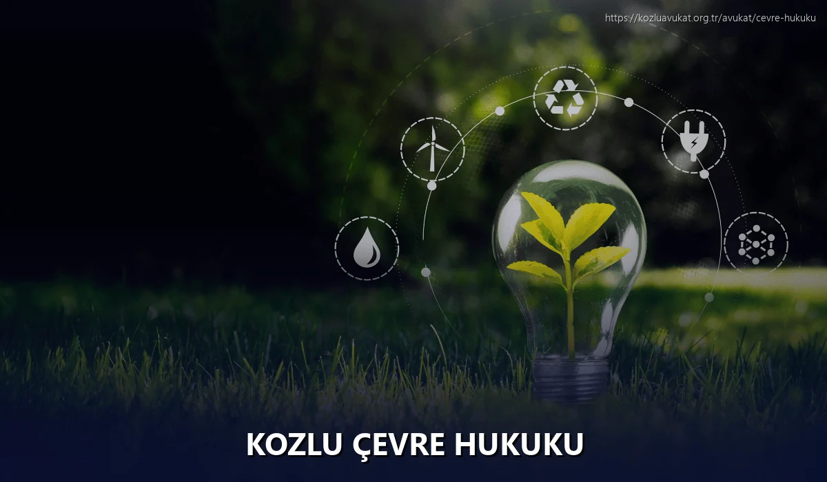 Kozlu Çevre Hukuku